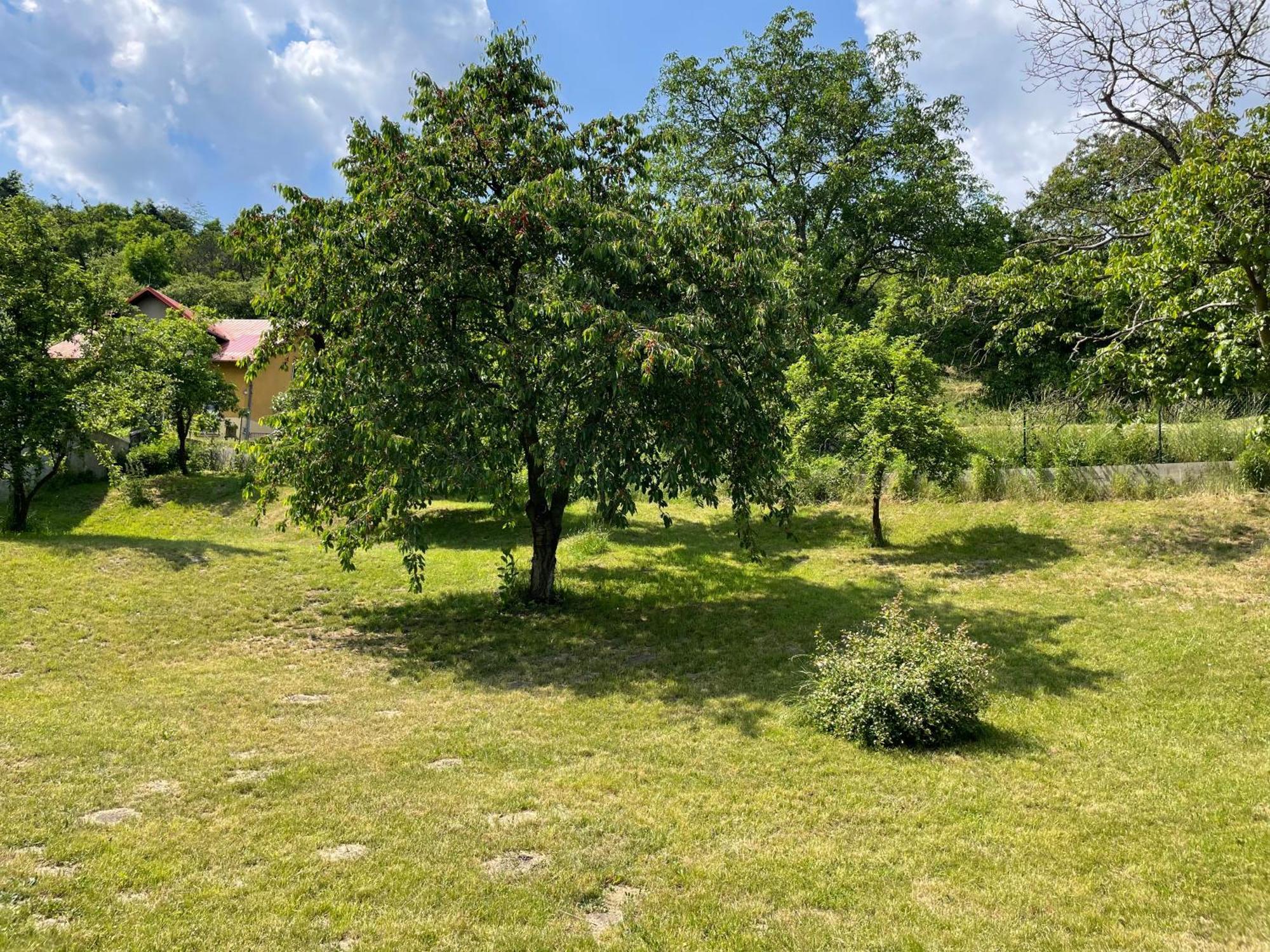 Penzion Villa Amélie Mladá Boleslav Esterno foto